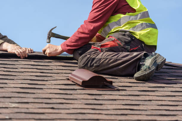 Best Residential Roof Replacement  in Ridgway, CO
