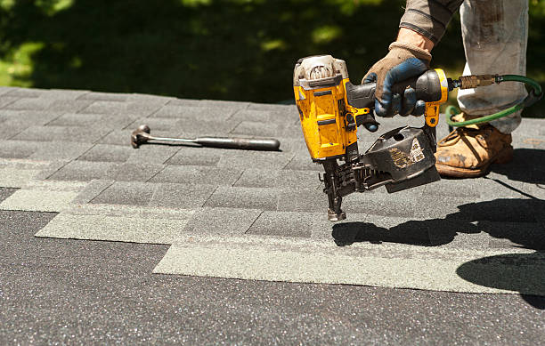 Best Roof Maintenance Services  in Ridgway, CO