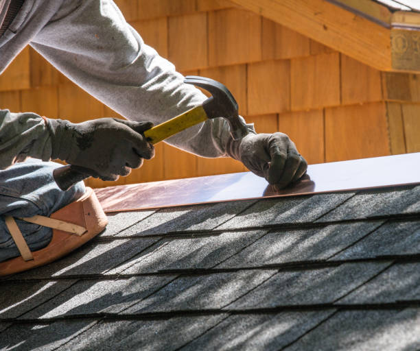 Best Flat Roof Repair Services  in Ridgway, CO